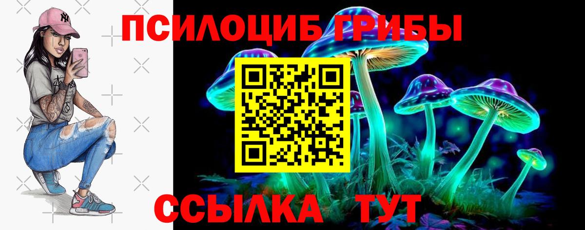 Псилоцибиновые грибы Cubensis Артёмовский